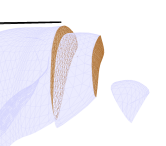 liver_b.png