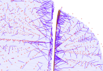 liver_mapping_cropped.png